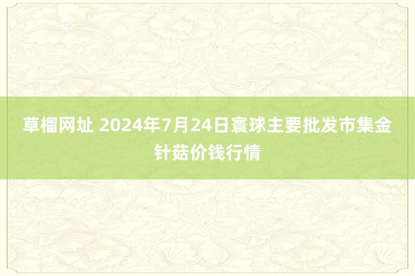 草榴网址 2024年7月24日寰球主要批发市集金针菇价钱行情