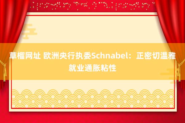 草榴网址 欧洲央行执委Schnabel：正密切温雅就业通胀粘性