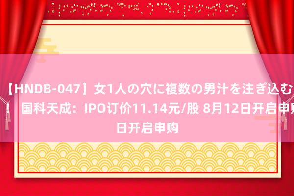 【HNDB-047】女1人の穴に複数の男汁を注ぎ込む!! 国科天成:IPO订价11.14元/股 8月12日开启申购