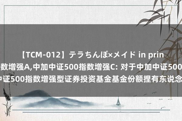 【TCM-012】テラちんぽ×メイド in prin MIKA 中加中证500指数增强A,中加中证500指数增强C: 对于中加中证500指数增强型证券投资基金基金份额捏有东说念主大会会议情况的公告