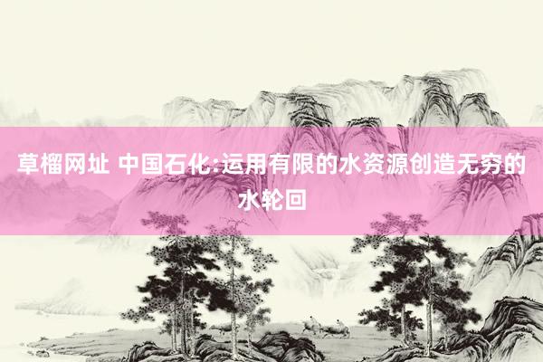 草榴网址 中国石化:运用有限的水资源创造无穷的水轮回
