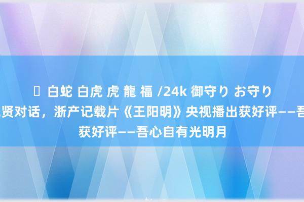 ✨白蛇 白虎 虎 龍 福 /24k 御守り お守り 穿越时空与先贤对话，浙产记载片《王阳明》央视播出获好评——吾心自有光明月