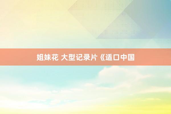 姐妹花 大型记录片《适口中国