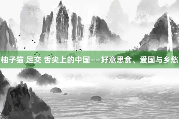 柚子猫 足交 舌尖上的中国——好意思食、爱国与乡愁