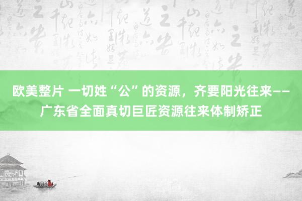 欧美整片 一切姓“公”的资源，齐要阳光往来——广东省全面真切巨匠资源往来体制矫正