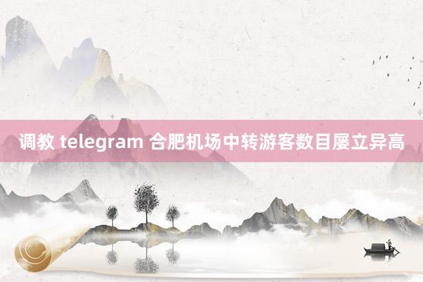 调教 telegram 合肥机场中转游客数目屡立异高