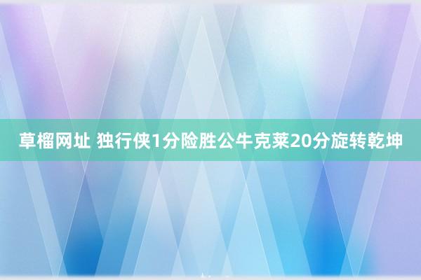 草榴网址 独行侠1分险胜公牛克莱20分旋转乾坤