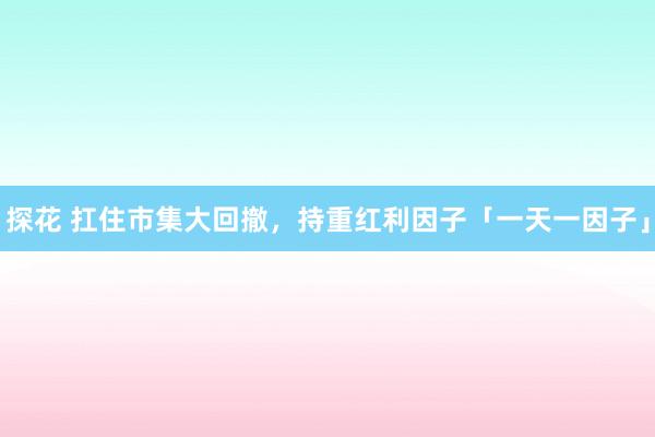 探花 扛住市集大回撤，持重红利因子「一天一因子」