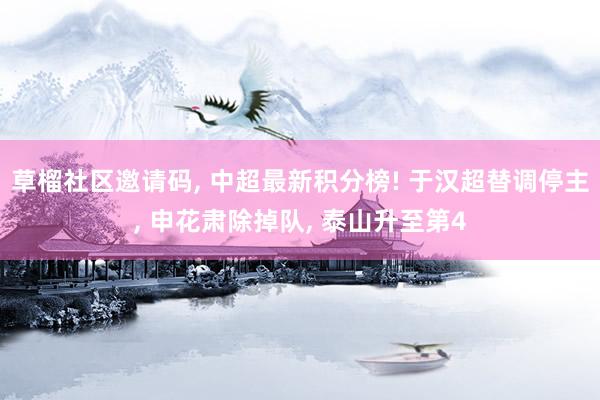 草榴社区邀请码， 中超最新积分榜! 于汉超替调停主， 申花肃除掉队， 泰山升至第4