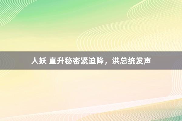 人妖 直升秘密紧迫降，洪总统发声
